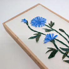 Carica l'immagine nel visualizzatore di Gallery, Erbario Cicoria Comune