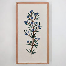 Carica l'immagine nel visualizzatore di Gallery, Erbario Ginepro