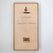 Carica l'immagine nel visualizzatore di Gallery, Erbario Ginepro