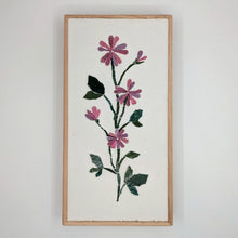 Carica l'immagine nel visualizzatore di Gallery, Erbario Malva selvatica