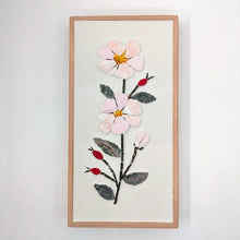 Carica l'immagine nel visualizzatore di Gallery, Erbario Rosa Canina