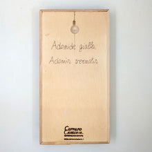Carica l'immagine nel visualizzatore di Gallery, Erbario Adonide Gialla

