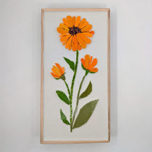 Carica l'immagine nel visualizzatore di Gallery, Erbario Calendula
