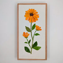 Carica l'immagine nel visualizzatore di Gallery, Erbario Calendula
