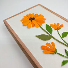 Carica l'immagine nel visualizzatore di Gallery, Erbario Calendula
