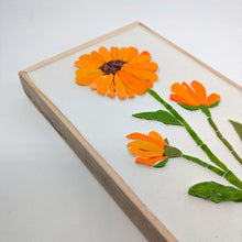 Carica l'immagine nel visualizzatore di Gallery, Erbario Calendula
