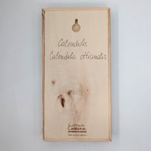 Carica l'immagine nel visualizzatore di Gallery, Erbario Calendula
