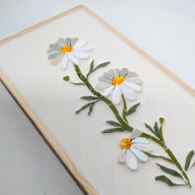 Carica l'immagine nel visualizzatore di Gallery, Erbario Camomilla
