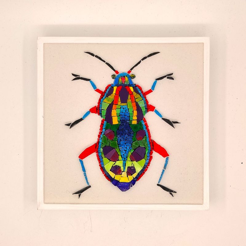 Quadro Coloroptera 10