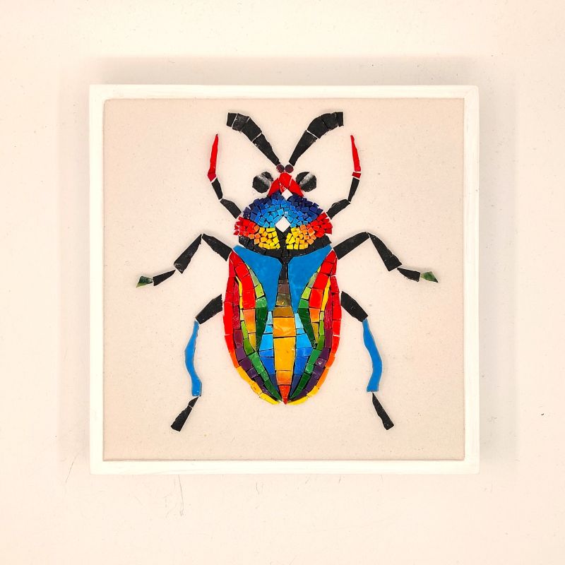 Quadro Coloroptera 05