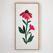 Carica l'immagine nel visualizzatore di Gallery, Erbario Echinacea
