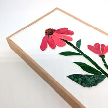 Carica l'immagine nel visualizzatore di Gallery, Erbario Echinacea
