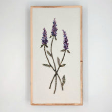 Carica l'immagine nel visualizzatore di Gallery, Erbario Lavanda
