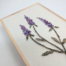 Carica l'immagine nel visualizzatore di Gallery, Erbario Lavanda

