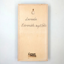 Carica l'immagine nel visualizzatore di Gallery, Erbario Lavanda

