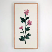 Carica l'immagine nel visualizzatore di Gallery, Erbario Malva selvatica
