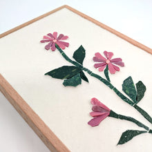 Carica l'immagine nel visualizzatore di Gallery, Erbario Malva selvatica
