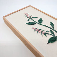 Carica l'immagine nel visualizzatore di Gallery, Erbario Menta
