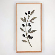 Carica l'immagine nel visualizzatore di Gallery, Erbario Olivo
