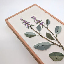Carica l'immagine nel visualizzatore di Gallery, Erbario Salvia
